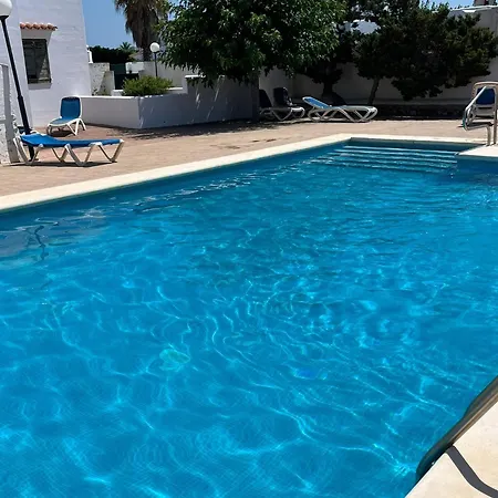 Menorca Palm *