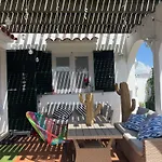Menorca Palm *