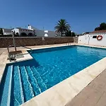 Menorca Palm