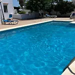 Menorca Palm *
