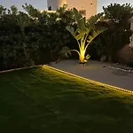 Menorca Palm