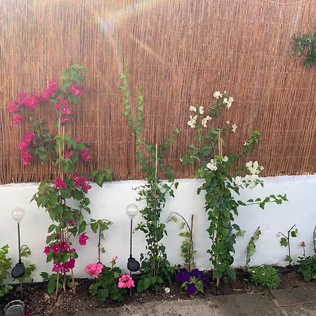 Menorca Palm Cala'N Blanes (Menorca)