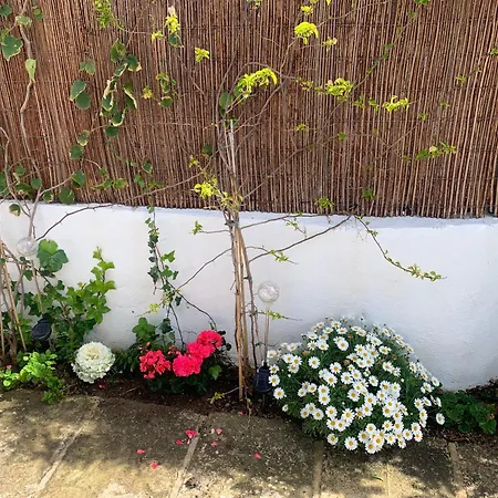 Menorca Palm Holiday home *