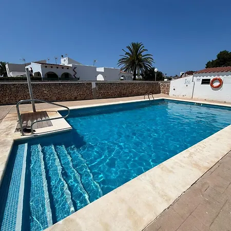 Menorca Palm