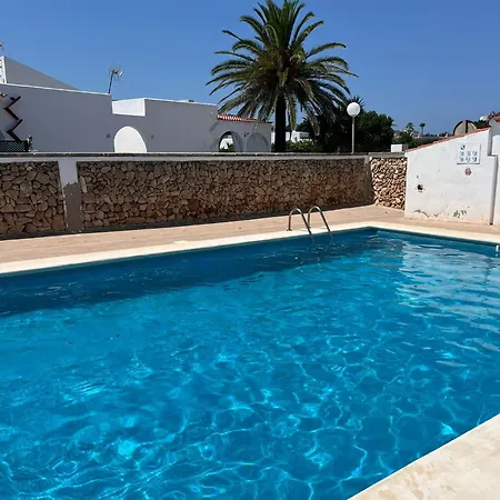 Menorca Palm *