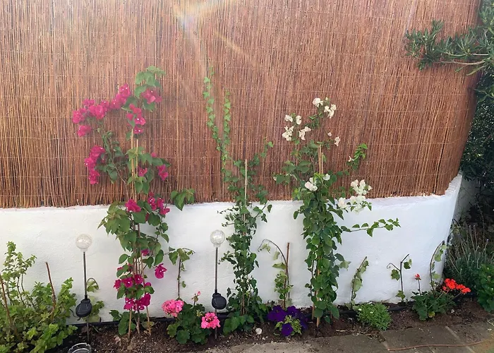 Menorca Palm Cala'N Blanes (Menorca)