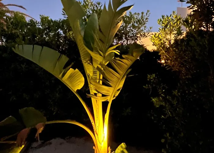 Menorca Palm Casa de Férias *