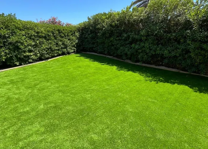 Menorca Palm * Cala'N Blanes (Menorca)