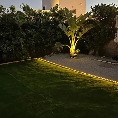 Menorca Palm